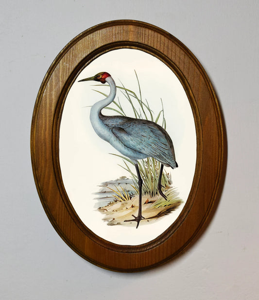 Australian Crane Elizabeth Gould Light Oak Oval Wooden Framed Classic Art Print 3"x4", 3.5"x5", 4"x6", 5"x7", 6"x8"