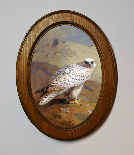 Greenland Falcon Archibald Thorburn Light Oak Oval Wooden Framed Classic Art Print 3"x4", 3.5"x5", 4"x6"
