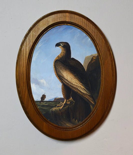 Washington Sea Eagle John James Audubon Light Oak Oval Wooden Framed Classic Art Print 3"x4", 3.5"x5", 4"x6", 5"x7", 6"x8"