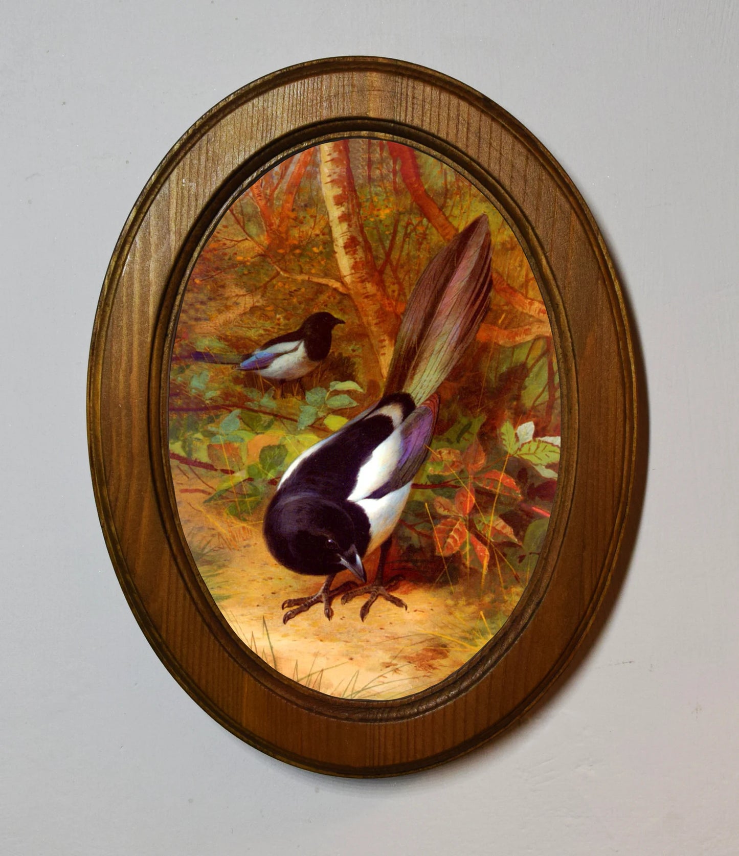 Magpies Archibald Thorburn Light Oak Oval Wooden Framed Classic Art Print 3"x4", 3.5"x5", 4"x6", 5"x7"