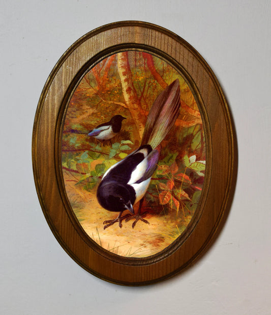 Magpies Archibald Thorburn Light Oak Oval Wooden Framed Classic Art Print 3"x4", 3.5"x5", 4"x6", 5"x7"