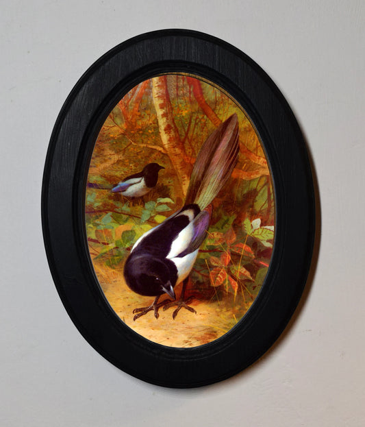 Magpies Archibald Thorburn Oval Wooden Framed Classic Art Print 3"x4", 3.5"x5", 4"x6", 5"x7", 6"x8"