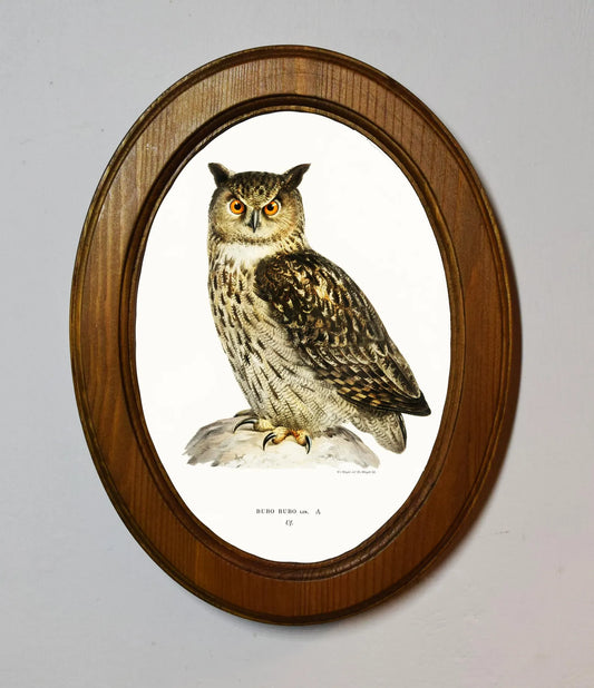 Eagle Owl Von Wright Brothers Light Oak Oval Wooden Framed Classic Art Print 3"x4", 3.5"x5", 4"x6", 5"x7", 6"x8"