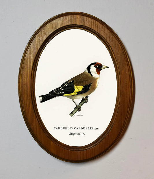 Goldfinch Von Wright Brothers Light Oak Oval Wooden Framed Classic Art Print 3"x4", 3.5"x5", 4"x6", 5"x7", 6"x8"