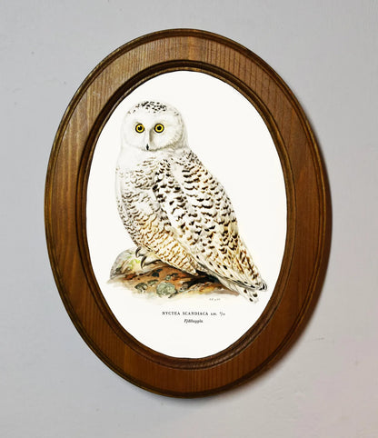 Snowy Owl Von Wright Brothers Light Oak Oval Wooden Framed Classic Art Print 3"x4", 3.5"x5", 4"x6", 5"x7", 6"x8"
