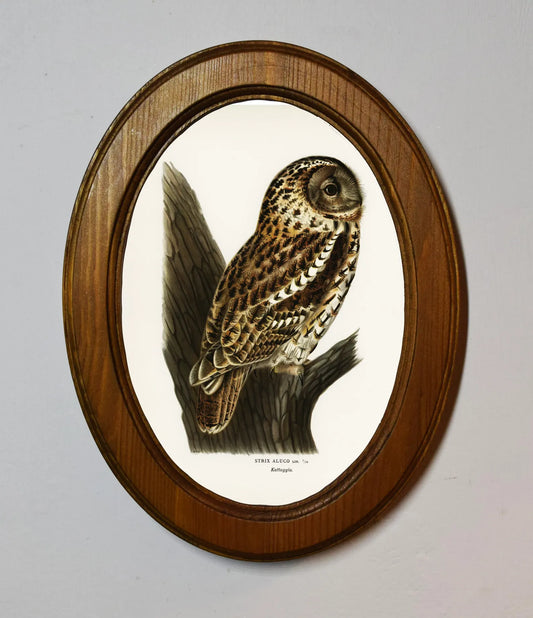 Tawny Owl Von Wright Brothers Light Oak Oval Wooden Framed Classic Art Print 3"x4", 3.5"x5", 4"x6", 5"x7", 6"x8"