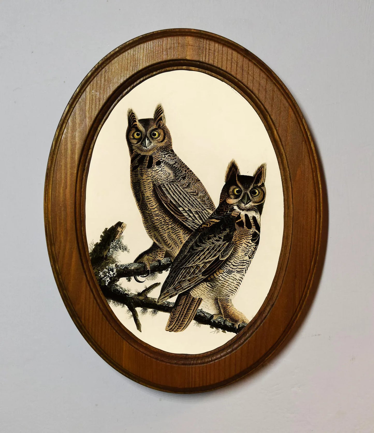 Great Horned Owl John James Audubon Light Oak Oval Wooden Framed Classic Art Print 3"x4", 3.5"x5", 4"x6", 5"x7", 6"x8"