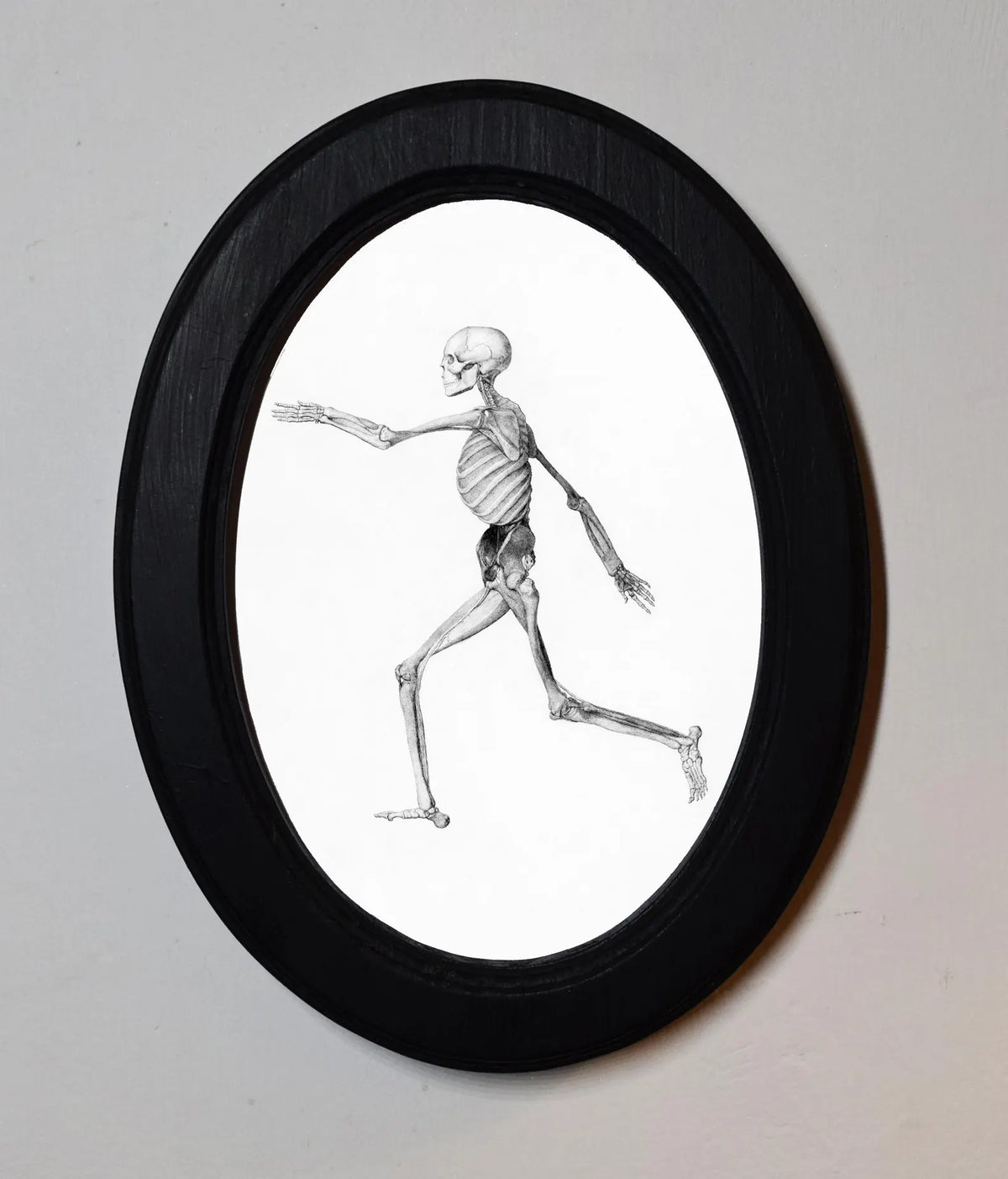 Human Skeleton George Stubbs Black Oval Wooden Framed Classic Art Print 3"x4", 3.5"x5", 4"x6", 5"x7", 6"x8"