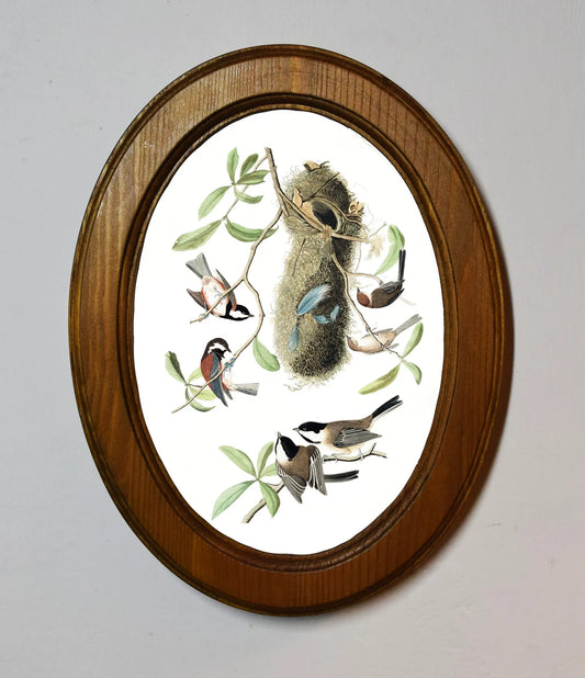 Chesnut-Backed Titmouse John James Audubon Light Oak Oval Wooden Framed Classic Art Print 3"x4", 3.5"x5", 4"x6", 5"x7", 6"x8"