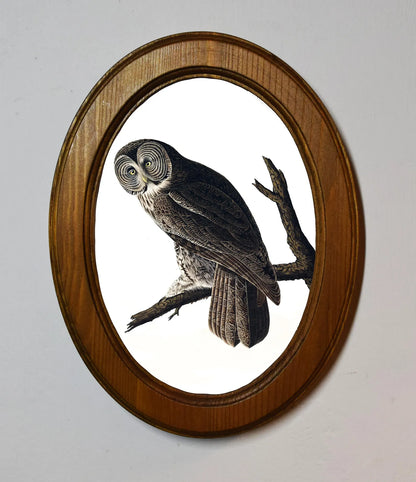 Great Cinereous Owl John James Audubon Light Oak Oval Wooden Framed Classic Art Print 3"x4", 3.5"x5", 4"x6", 5"x7", 6"x8"