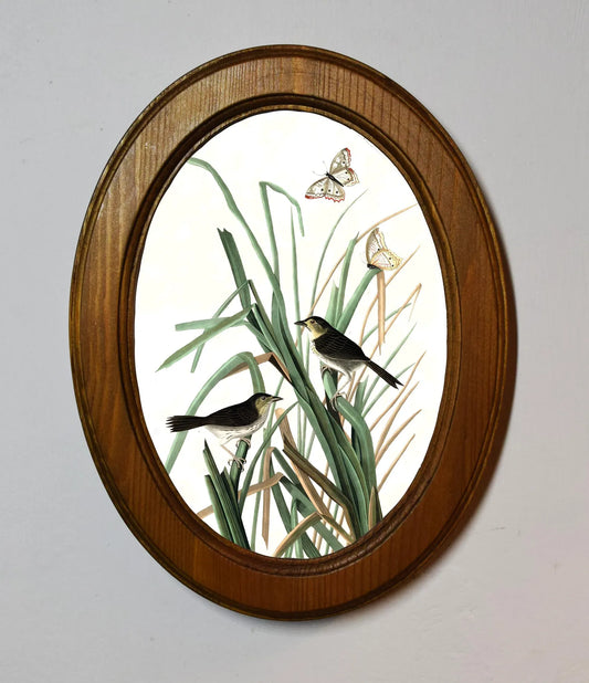 MacGillivray’s Finch John James Audubon Light Oak Oval Wooden Framed Classic Art Print 3"x4", 3.5"x5", 4"x6", 5"x7", 6"x8"