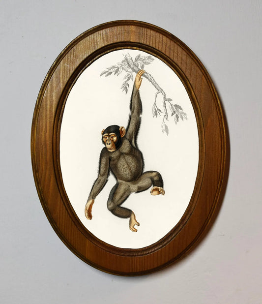 Chimpanzee Charles Dessalines D'Orbigny Light Oak Oval Wooden Framed Classic Art Print 3"x4", 3.5"x5", 4"x6", 5"x7", 6"x8"