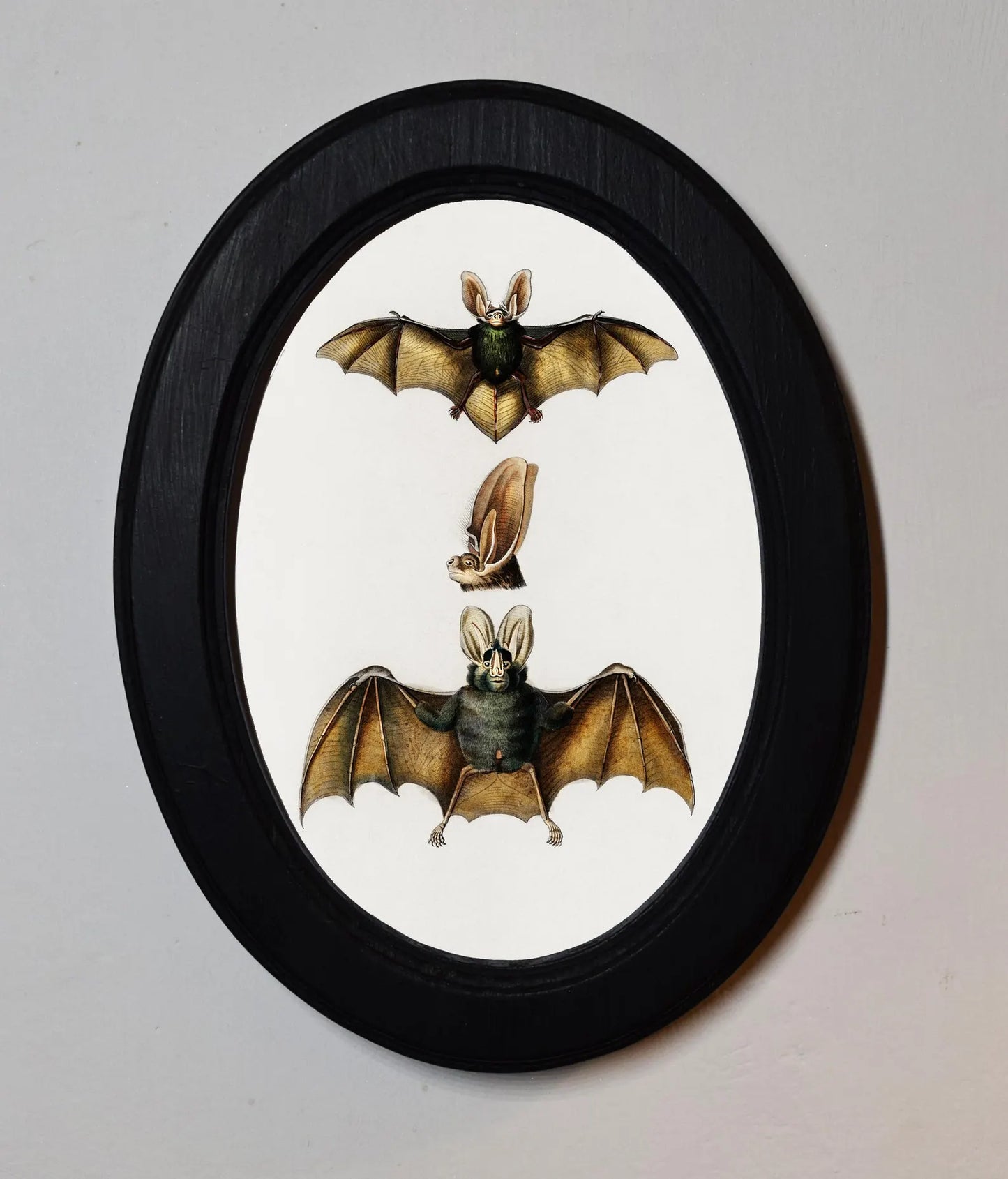 Bat Vampire Halloween Oval Wooden Framed Print 3"x4", 3.5"x5", 4"x6", 5"x7", 6"x8"